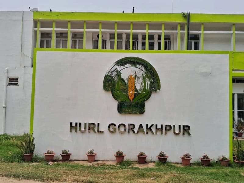 HURL Gorakhpur Commissioning Support Work