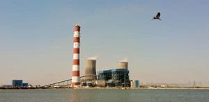 NPL Rajpura Sheeting